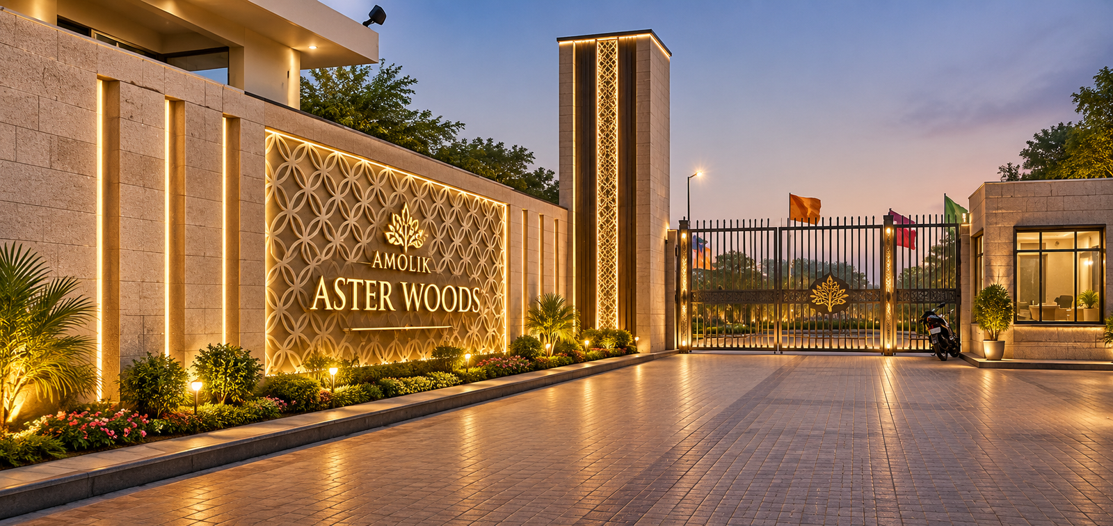 Amolik Aster Woods